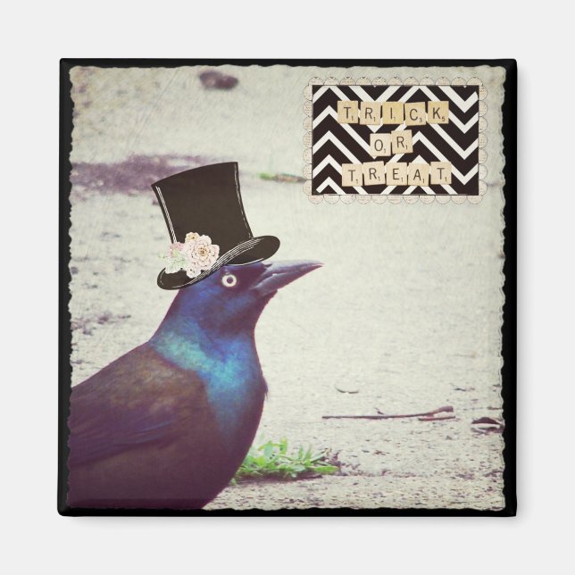 Imán Halloween Grackle (Frente)