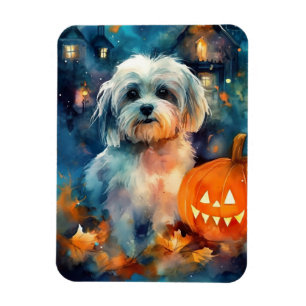 Imán Halloween Havanese con calabazas aterradoras