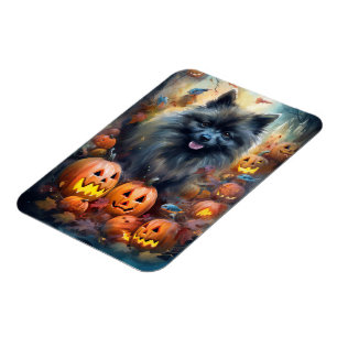 Imán Halloween Keeshond con calabazas aterradoras