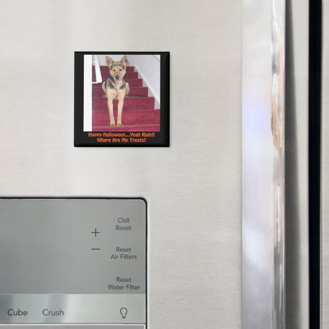 Imán Halloween Pastor Alemán de Pastor No Tratos (In situ (nevera))