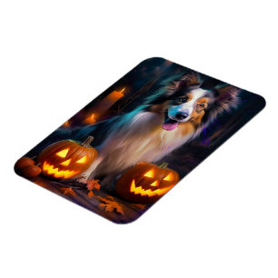 Imán Halloween Shetland Sheepdog con calabazas asustada