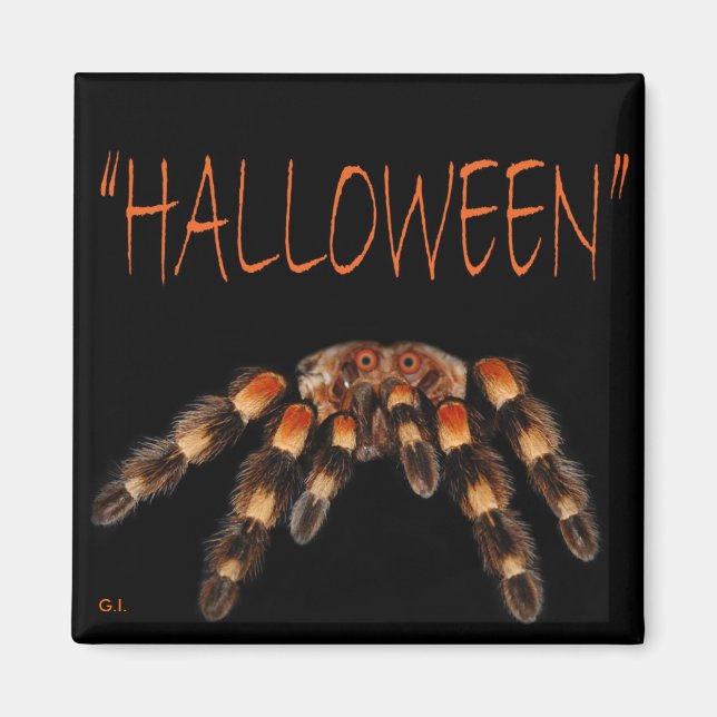Imán Halloween Spider Magnet (Frente)