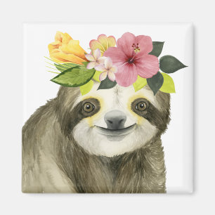 Imán Halo tropical   Sweet Sloth