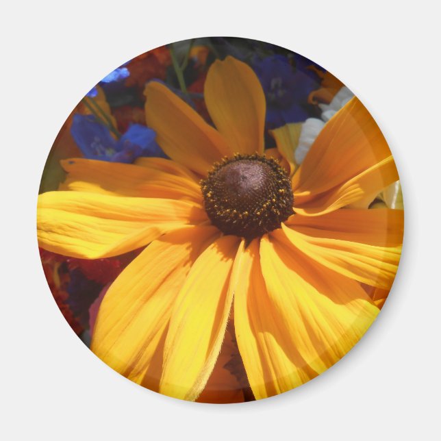 Imán Halse (Frente)