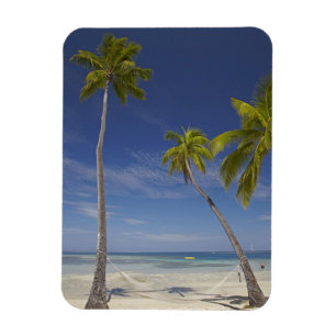 Imán Hamaca y palmeras, Plantation Island Resort