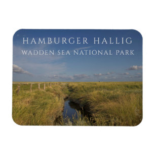 Imán Hamburger Hallig, Mar de Wadden, Alemania