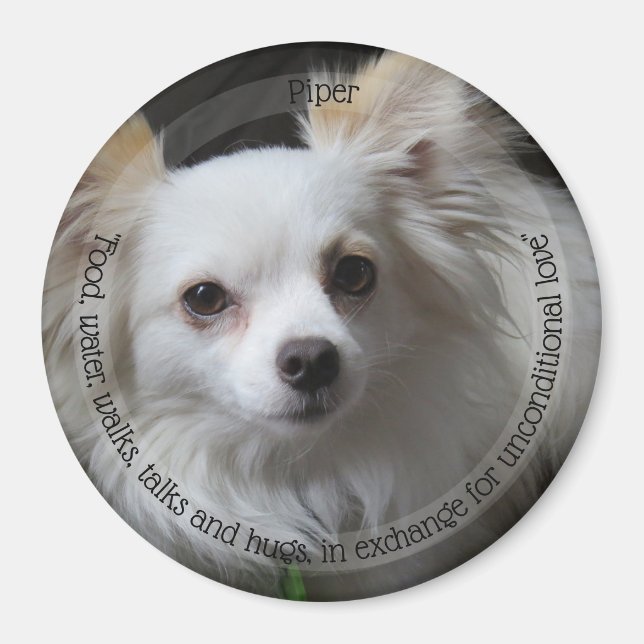 Imán HAMbyWG Mascota Magnet (Frente)