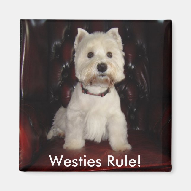 Imán Hamid McTavish Westies Rule Fridge Magnet (Frente)