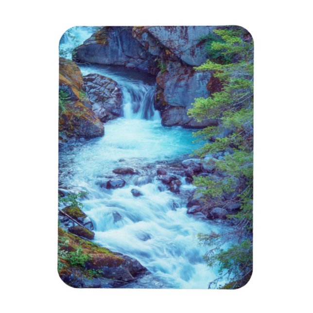 Imán Hamma Hamma Creek (Vertical)