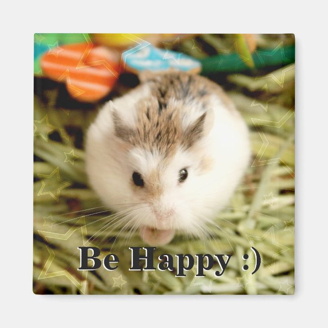 Imán Hammyville - Cute Hamster (Frente)