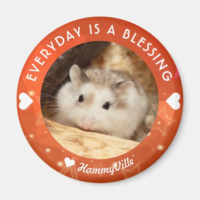 Imán Hammyville - Cute Robo Hamster (Frente)