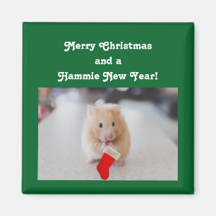 Imán Hámster del navidad