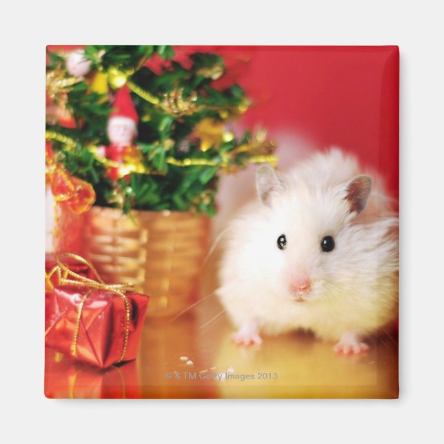 Imán Hamster Kokolinka con árbol de Navidad (Frente)