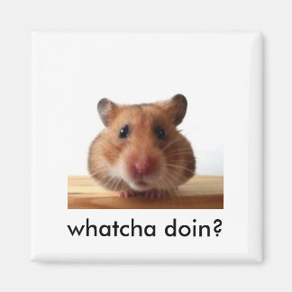 Imán Hamster Magnet