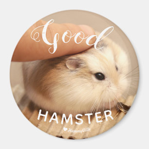 Imán Hamter lindo que es un buen hámster