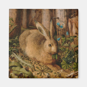Imán Hans Hoffmann A Hare In The Forest