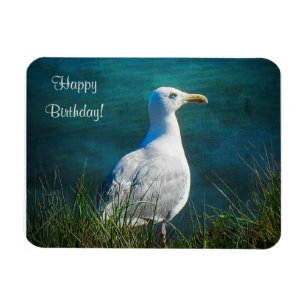 Imán Happy Birday Seagull Magnet
