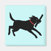 Happy Black Labrador Retriever | Ejecución de Blac