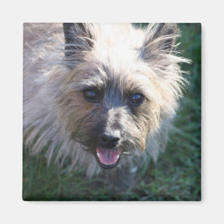 Imán Happy Chica Magnet