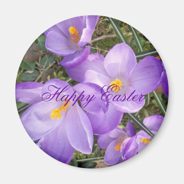 Imán Happy Easter Purple Crocus Magnet (Frente)