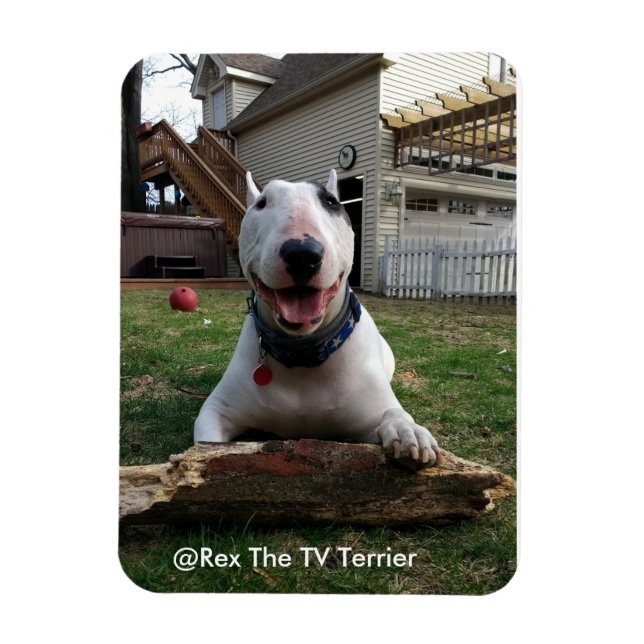 Imán Happy Rex Magnet (Vertical)