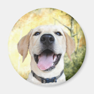 Imán Happy Yellow Lab