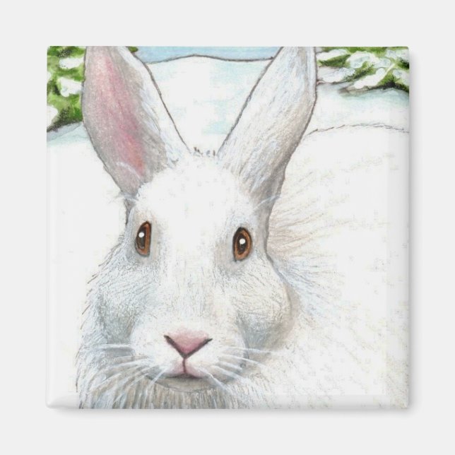 Imán hare 19 Magnet (Frente)