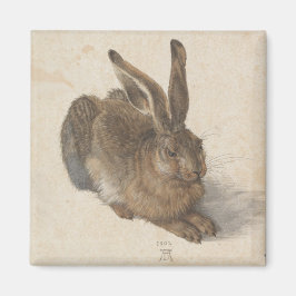 Imán Hare (de Albrecht Dürer)