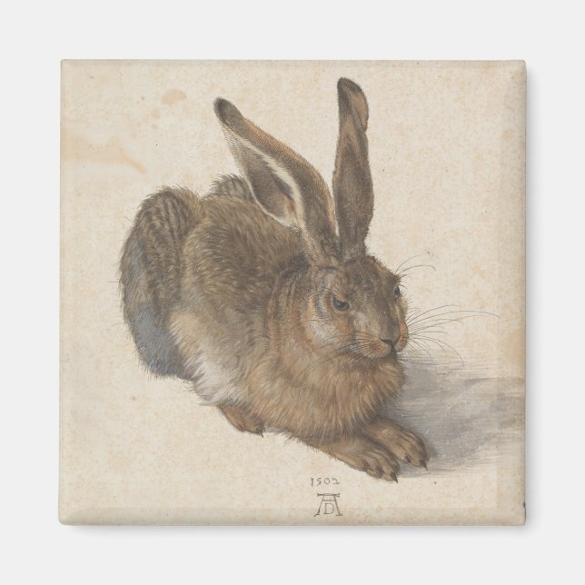 Imán Hare (de Albrecht Dürer) (Frente)