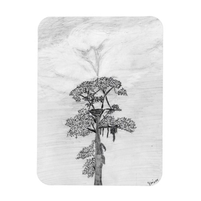 IMÁN HARRIET M HISTORIA DE LA FAMILIA TREE OZZIE WATCHE (Vertical)