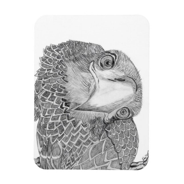 IMÁN HARRIET OZZIE M HISTORIA DEL ÁRBOL FAMILIAR E9 CAM (Vertical)