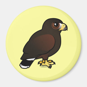 Imán Harris Hawk