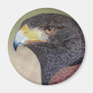 Imán Harris Hawk-cp