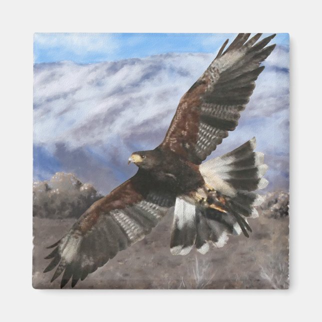 Imán Harris Hawk - pastel (Frente)