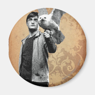 Imán Harry Potter 12