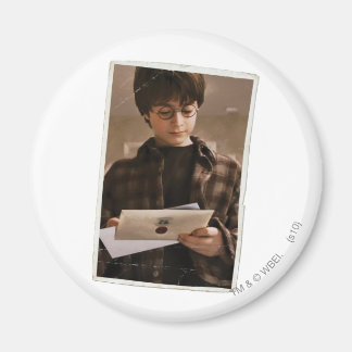 Imán Harry Potter 9