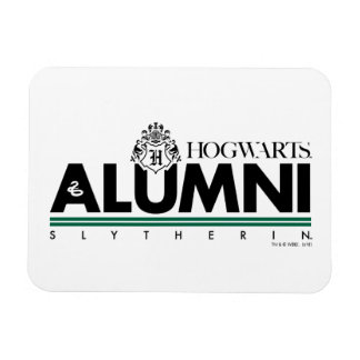 Imán Harry Potter | Alumno SLYTHERIN™ HOGWARTS™
