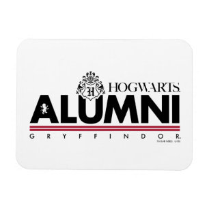 Imán Harry Potter   Alumnos HOGWARTS™ GRYFFINDOR™