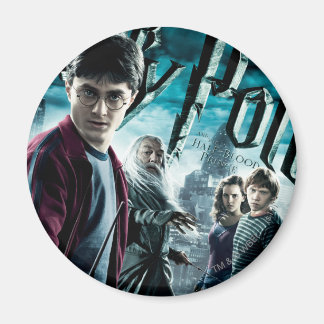 Imán Harry Potter con Dumbledore Ron y Hermione 1