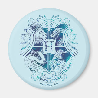 Imán Harry Potter | Escudo Aguamenti HOGWARTS™