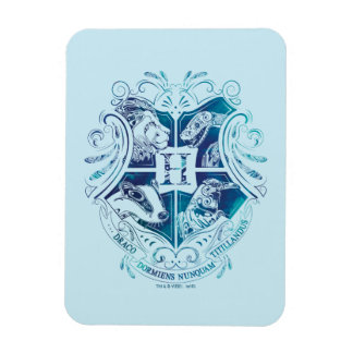 Imán Harry Potter | Escudo Aguamenti HOGWARTS™