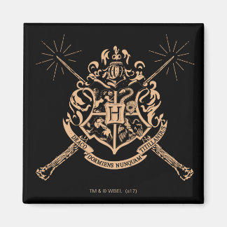 Imán Harry Potter | Escudo Hogwarts Crossed Wands