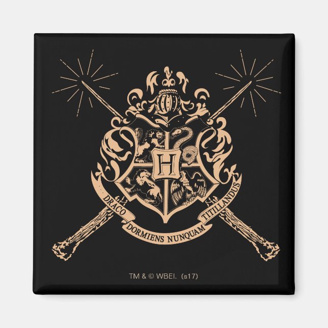 Imán Harry Potter | Escudo Hogwarts Crossed Wands (Frente)
