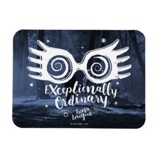 Imán Harry Potter | Excepcionalmente ordinario