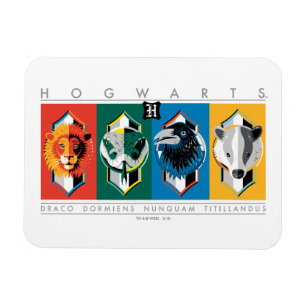 Imán Harry Potter   HOGWARTS™ House Sigils