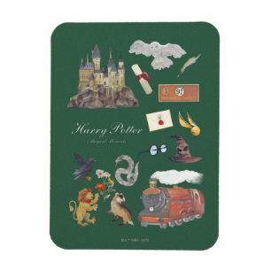 Imán HARRY POTTER™   Momentos mágicos
