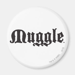 Imán Harry Potter Spell   Muggle