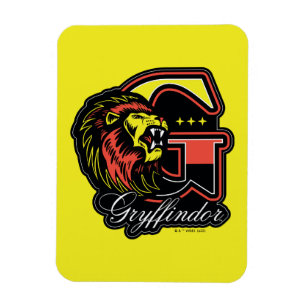 Imán HARRY POTTER™   Tarjeta deportiva GRYFFINDOR™