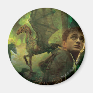 Imán Harry Potter Thestrals