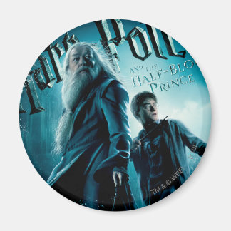 Imán Harry Potter y Dumbledore sobre las rocas 1
